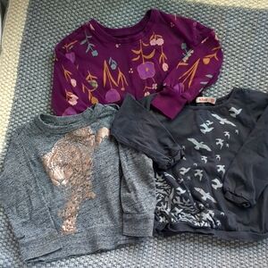 Lot Bundle of Three 2T Long Sleeve Shirts Tea Collection Floral Crewcuts Tiger